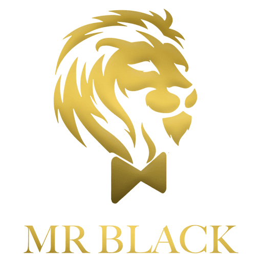 Mr Black World Logo